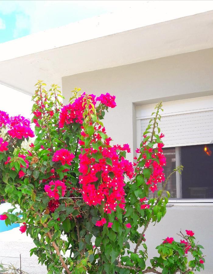 Casa Katina , Villa In Lagana, Agrilia Area Λαγανάς Εξωτερικό φωτογραφία