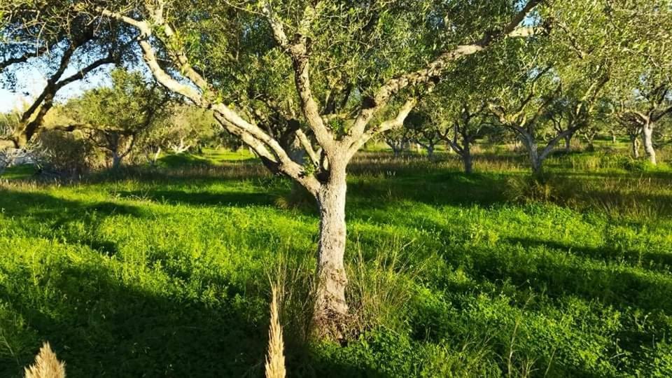 Casa Katina , Villa In Lagana, Agrilia Area Λαγανάς Εξωτερικό φωτογραφία